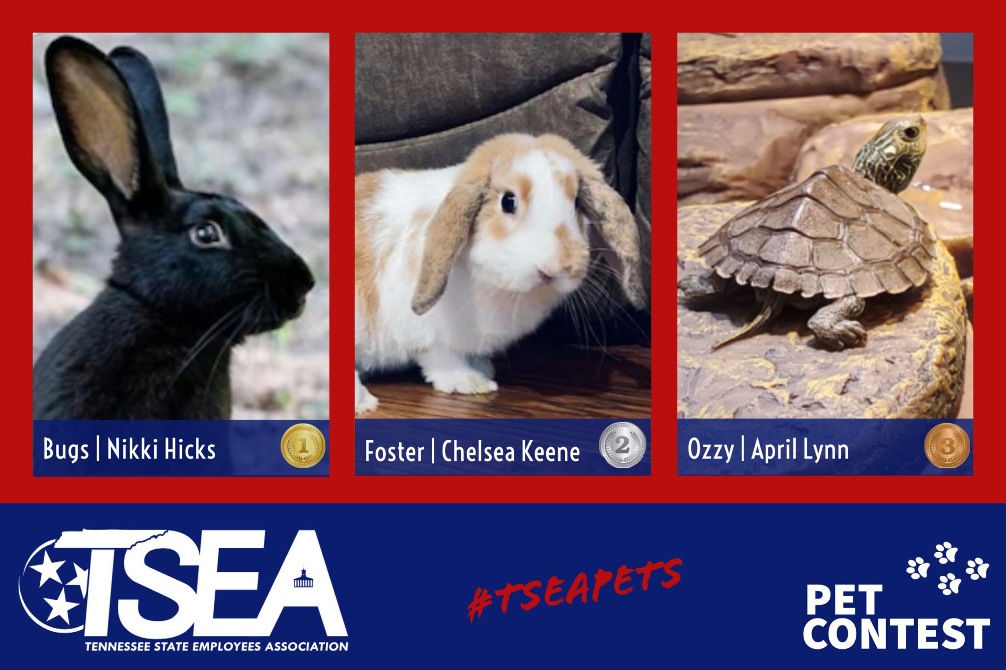 TSEA TSEA PET CONTEST WINNERS