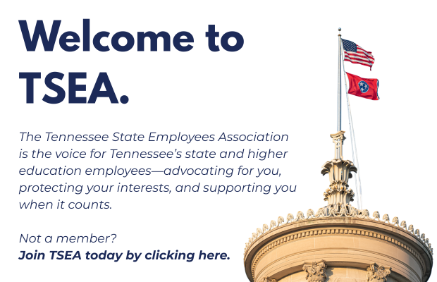 Welcome to TSEA