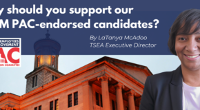 Why should you support our TEAM PAC-endorsed candidates?